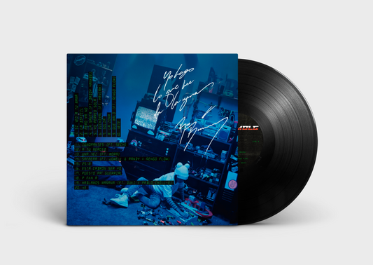 VINILO YHLQMDLG