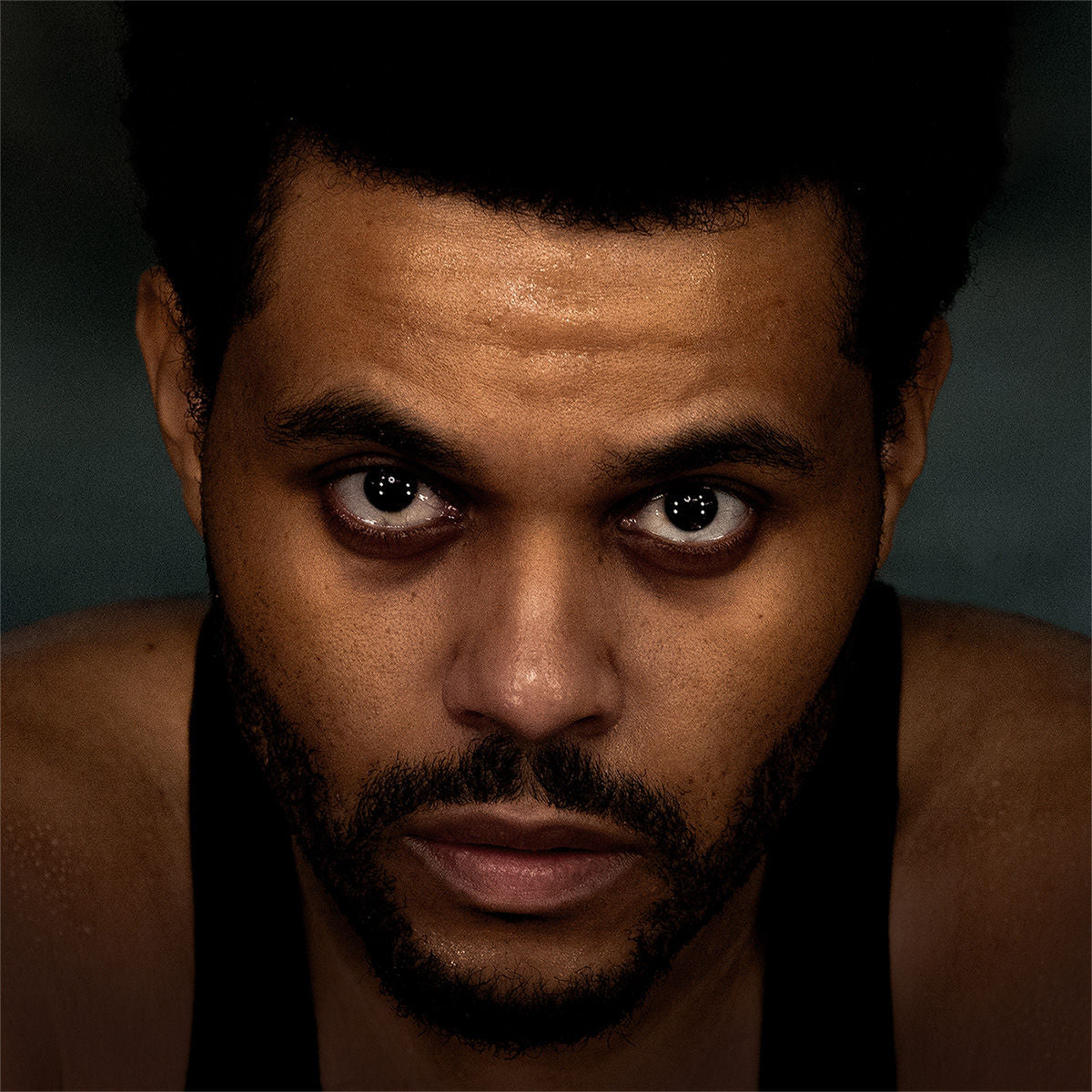 THE WEEKND