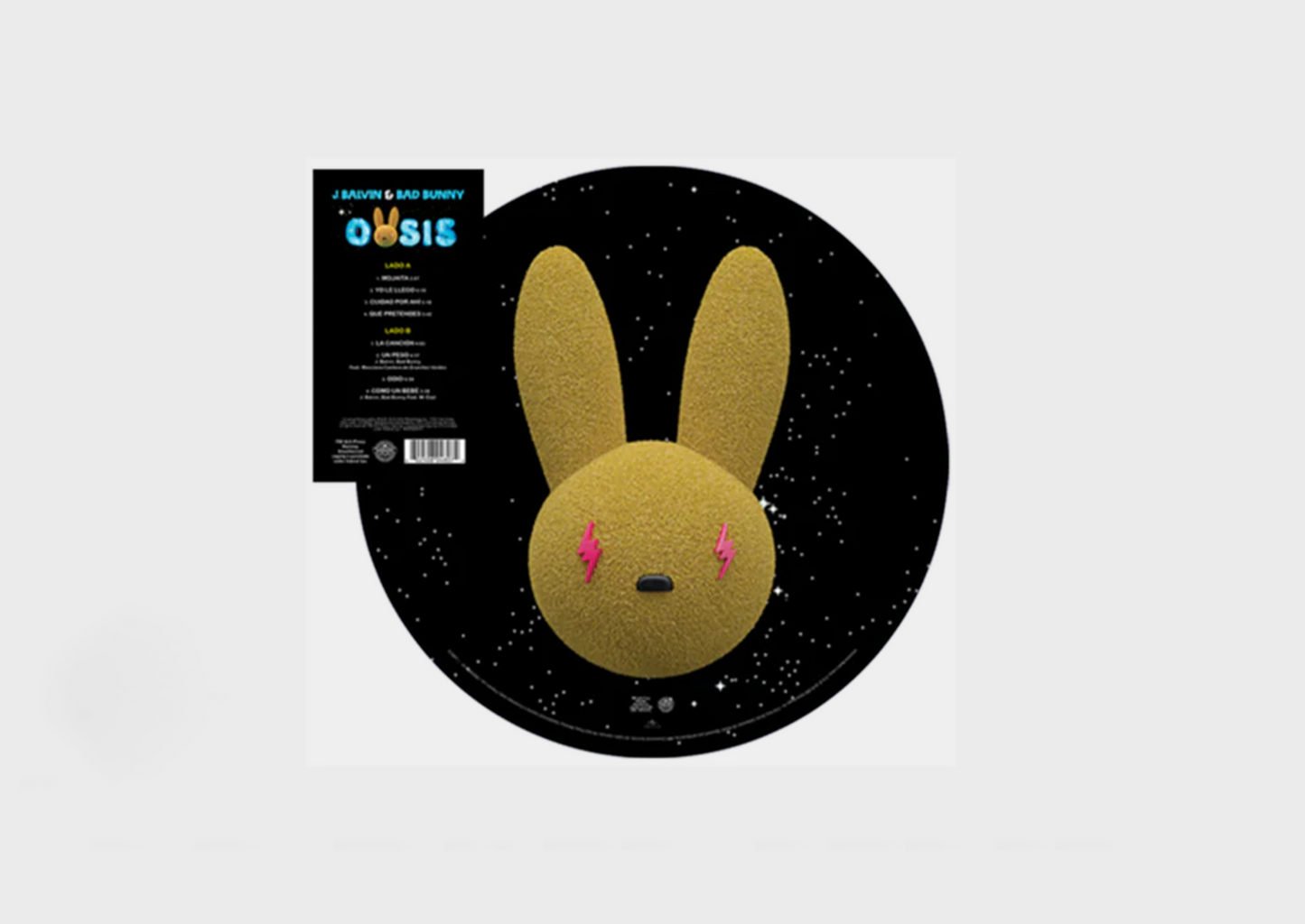 VINILO OASIS PICTURE VINYL