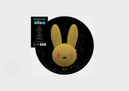 VINILO OASIS PICTURE VINYL