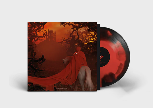 VINILO CSNV DELUXE