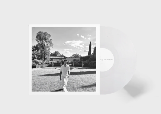 VINILO LOVE LOVE FLAKK