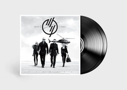 VINILO LDRS