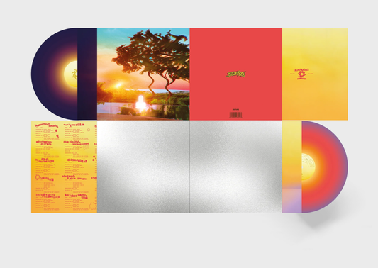 VINILO PARAÍSO